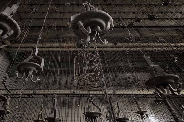 Homepage Featured Image Zeche P Cages