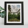 Small Format Fine Art Photography Print of Chateau Rolls Royce Overgrown Greenhouse Belgium Urbex Urban Exploration
