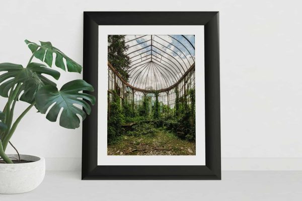 Small Format Fine Art Photography Print of Chateau Rolls Royce Overgrown Greenhouse Belgium Urbex Urban Exploration