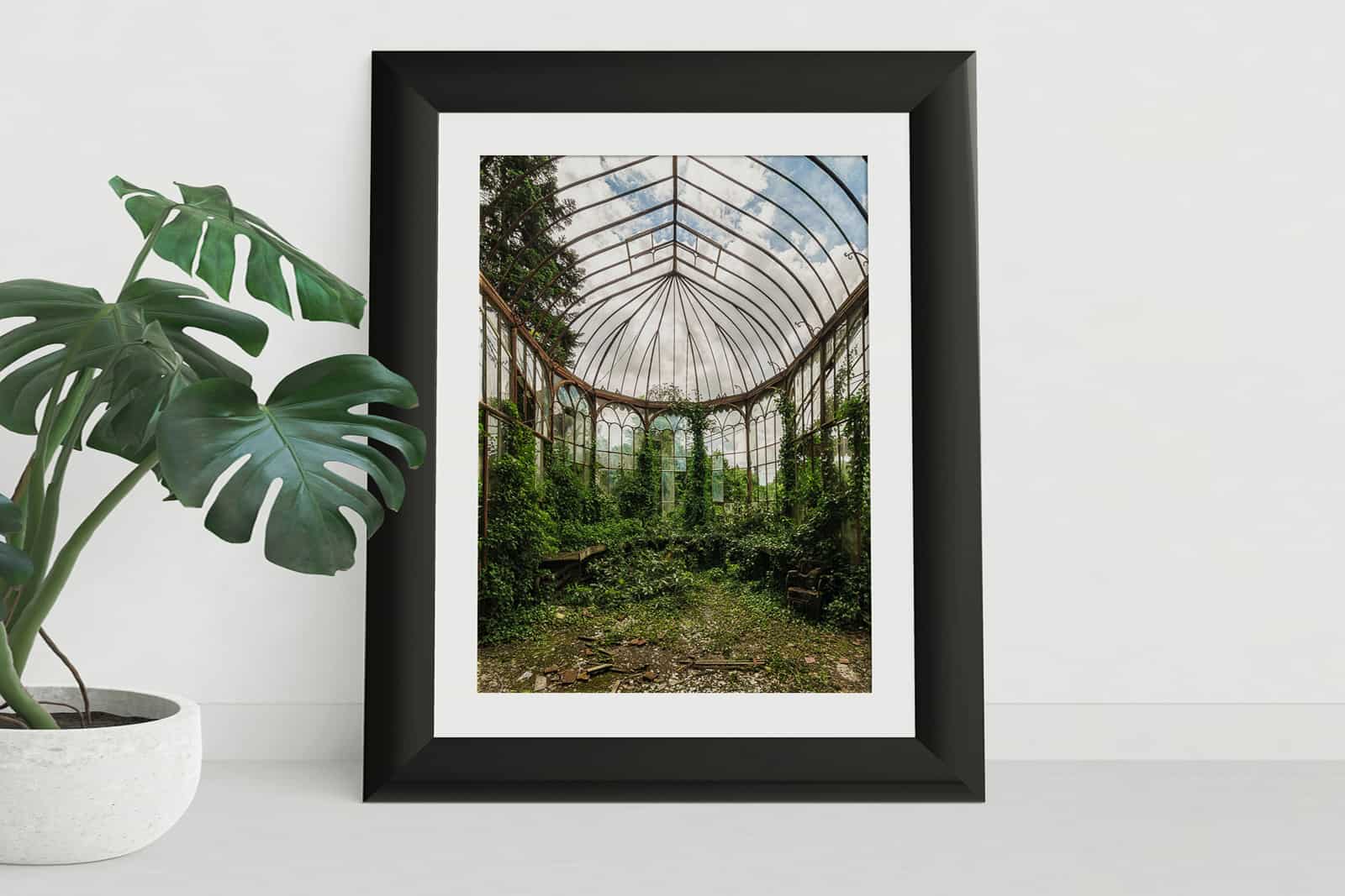 Small Format Fine Art Photography Print of Chateau Rolls Royce Overgrown Greenhouse Belgium Urbex Urban Exploration