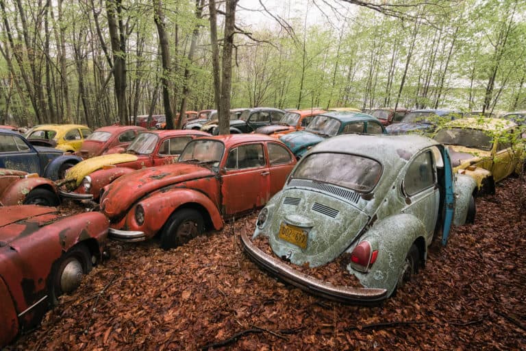 VW Beetle Car Graveyard USA Featured Image