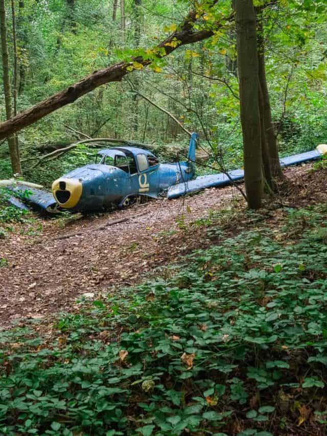 Abandoned Movie Prop In the Forest Blue Plane