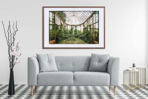 Verdant Overgrowth An Abandoned Greenhouse Framed Fine Art Print By Obsidian Urbex Photography Black Frame Above Sofa