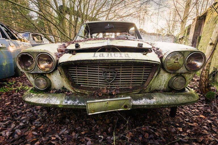 Viva Lancia Belgium Featured Image