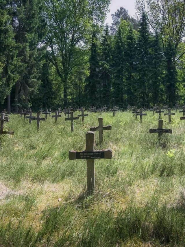 Abandoned insane asylum cemetery in Belgium