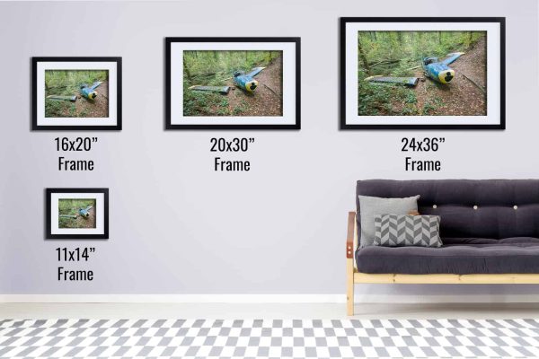 The Grounded Navion Framed Fine Art Print By Obsidian Urbex Photography Black Frame Comparison