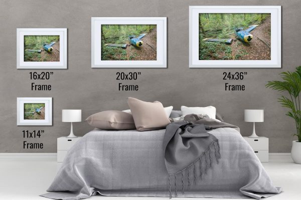 The Grounded Navion Framed Fine Art Print By Obsidian Urbex Photography White Frame Comparison