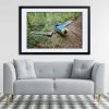 The Grounded Navion The Grounded Navion Framed Fine Art Print By Obsidian Urbex Photography Above Sofa