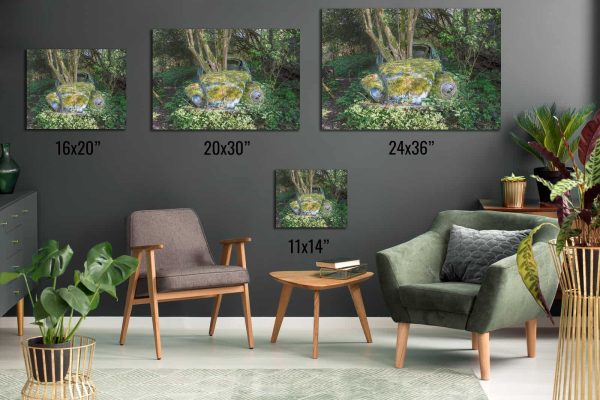 Just Another Bug In The Forest Abandoned VW Beetle Car Framed Fine Art Print By Obsidian Urbex Photography Aluminium Metal Print Comparison