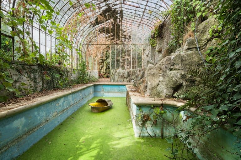 Green World Belgium Featured Image