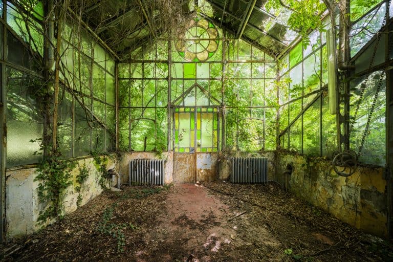 Greenhouse Rosa Italy Featured Image