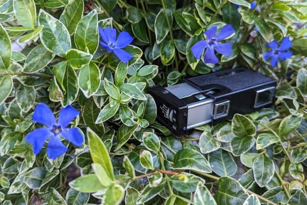 Kiev 30 16mm Subminiture Camera Amongst Periwinkle Flowers