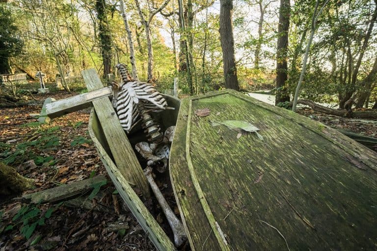 The Scare Woods England Featured Image