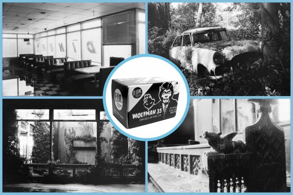 Wolfman 100 35mm film Review Photos Featured Image