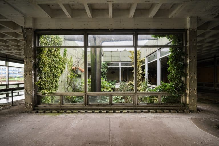 Terrarium Industrialis England Featured Image