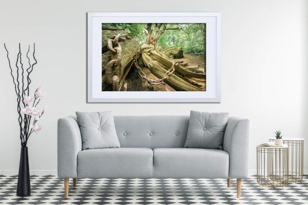 Whispering Chains Framed Fine Art Print By Obsidian Urbex Photography Above Sofa
