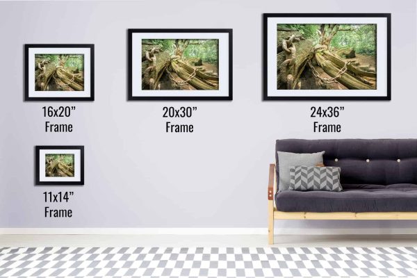 Whispering Chains Framed Fine Art Print By Obsidian Urbex Photography Black Frame Comparison